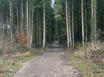 Randonnée Marche Menétrux-en-Joux - cascades des herissons - Photo