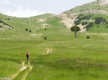 Excursión Senderismo Gresse-en-Vercors -  Pas des Baschassons - Carrière romaine - Pas de la Selle - Photo