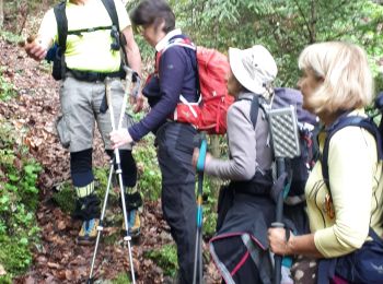 Tour Wandern Engins - Pas du curé / pas de la corne en circuit - Photo