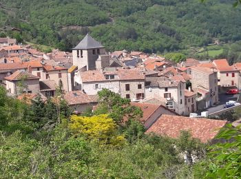 Trail Walking Saint-Affrique - sentier du facteur - Photo