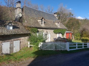 Tocht Stappen Tournemire - Tournemire-Girgol - Photo