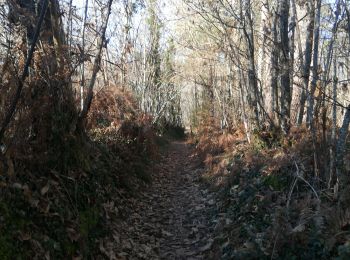 Randonnée Marche Mouleydier - St Sauveur 15km - Photo