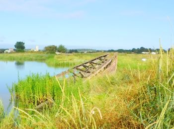 Tour Wandern Mornac-sur-Seudre - 17  Plordonnier  7km300 - Photo