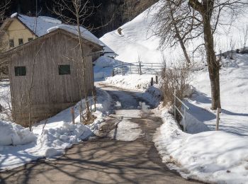 Trail On foot Escholzmatt-Marbach - Escholzmatt - Turner - Photo