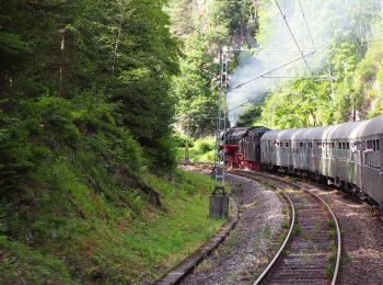 Tocht Te voet Triberg im Schwarzwald - Triberg - Staude - Photo