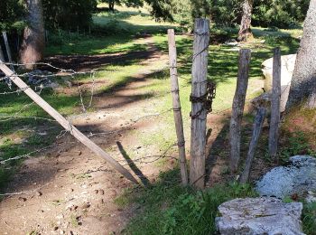 Excursión Bici de montaña Collonges-sous-Salève - St Blaise et retour - Photo