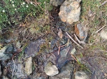 Percorso Altra attività San-Lorenzo - funtane1 - Photo