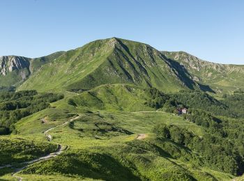 Randonnée A pied Villa Minozzo - Valbucciana - Monte Prampa - Passo della Cisa - Il Passone - Photo