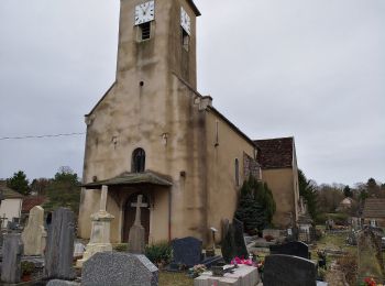 Trail On foot Montbarrey - Sentier des radeliers - Photo