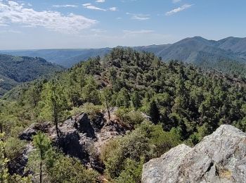 Excursión Senderismo Saint-Étienne-Vallée-Française - St Etienne de la Vallée Française - St Jean du Gard GR70 actualisé - Photo