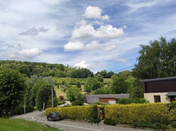 Randonnée A pied Marques - La Quesnoye - Photo