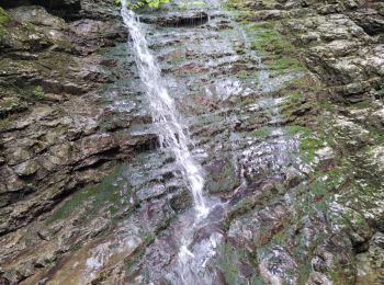 Excursión Senderismo Saint-Laurent-du-Pont - Crêtes des Charmilles  - Photo