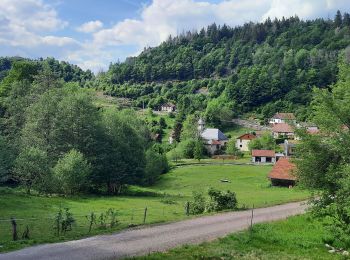 Randonnée Marche Le Thillot - Mines Thylllot - Photo