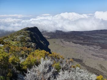 Randonnée Marche Sainte-Rose - Piton de la Fournaise (cratère Dolomieu) - Piton Partage - Photo