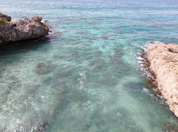 Randonnée Marche Saint-François - Guadeloupe - Pointe des Châteaux (2024) - Photo