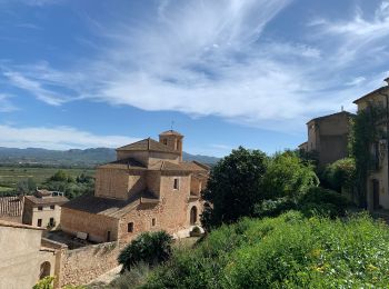 Tour Wandern Miravet - Miravet alentours et Château  - Photo