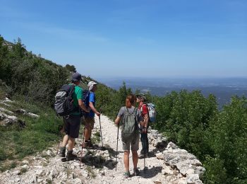 Excursión Senderismo Vauvenargues - les cabassols le Prieuré - Photo