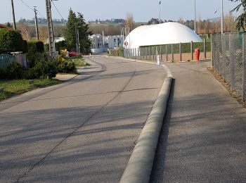 Tocht Stappen Lentilly - Santier des vaches LENTILLY  - Photo