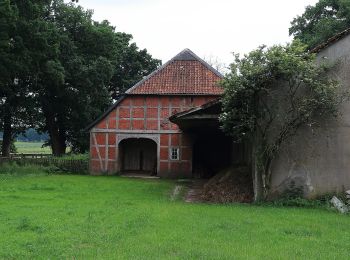 Randonnée A pied Eschede - Südheide 'Magische Orte längs des Weges' W20l (lange Tour) - Photo