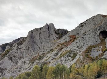 Tocht Te voet  - Runc - Vârful Scărița - Rezervația Scărița Belioara - Photo