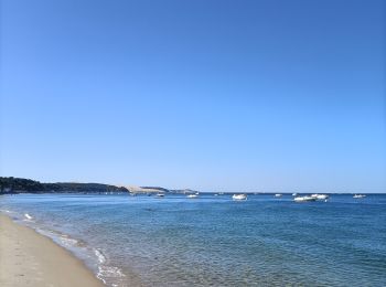 Trail Walking Arcachon - Arcachon - Photo