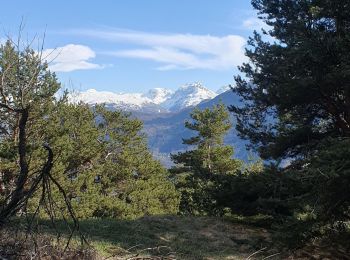 Percorso Marcia Saint-Julien-Mont-Denis - Marche dans l'après-midi - Photo