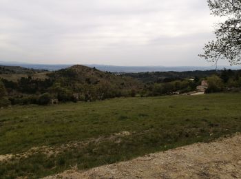 Randonnée Marche Pierrevert - St Martin les eaux 25.04.2021 - Photo