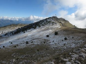 Tocht Stappen Coursegoules - Sommet du Cheiron depuis Coursegoules - Photo