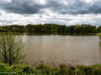 Tocht Stappen La Madeleine-Bouvet - Bretoncelles - La Madeleine-Bouvet 5,3 km - Photo