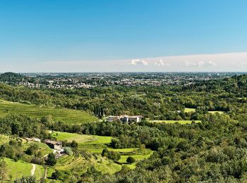 Tour Zu Fuß Sirtori - Sentiero 1 Ceregallo - Lomagna - Photo