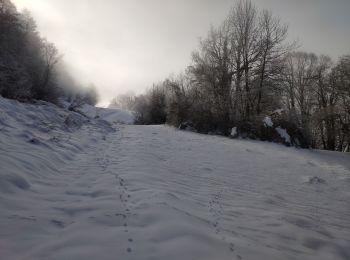 Tour Wandern Le Châtelard - Bauges 2021 : le Chatelard - Crête du Mont Julioz(-12-19).ori - Photo