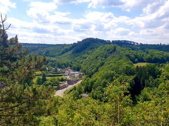 Randonnée Marche Durbuy - Balade à Bomal sur Ourthe - Photo