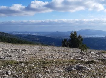 Trail Walking La Cadière-d'Azur - le gros cerveau - Photo