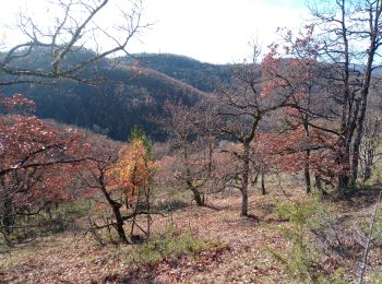 Randonnée Marche Maxou - Bois des Carrières_la Dalhouse_Lirve_Revel 6,7 - Photo