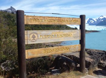 Tour Wandern  - Perito Moreno - Photo