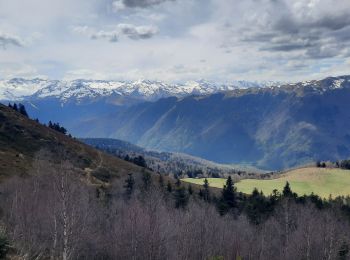 Excursión Senderismo Baren - Mail de la Pique depuis Baren - Photo