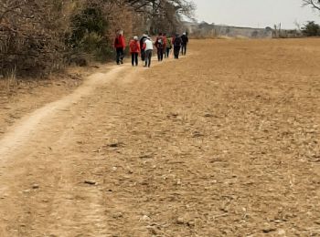 Tocht Stappen Fourques - fourques - Photo