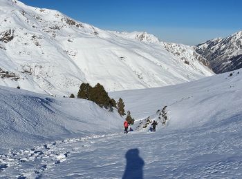 Excursión Senderismo Porta - Pic dels Pedrons - Photo