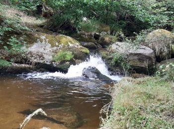 Excursión Senderismo Saint-Alban-sur-Limagnole - la cascade du Franquet - Photo