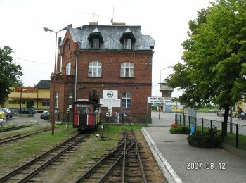 Excursión A pie Żnin - Szlak Piastowski - Photo