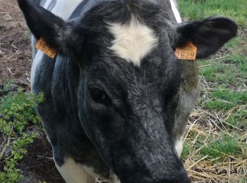 Percorso Marcia Gembloux - covid 17-4-20 12 km - Photo