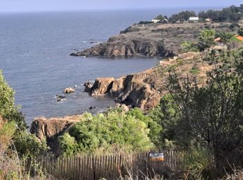 Randonnée Marche Argelès-sur-Mer - Argelès Collioure par la côte - Photo