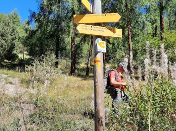 Excursión Senderismo Vars - crêtes de Vars - Photo