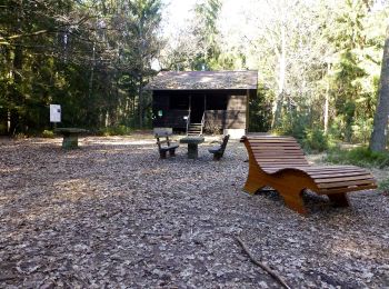 Tocht Te voet Mossautal - Rundwanderweg Dehnbuche 2: Lärmfeuer-Weg - Photo