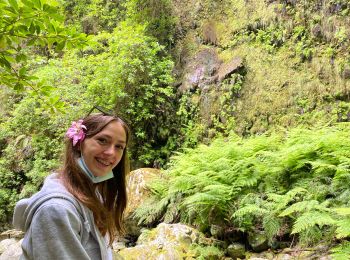 Tocht Stappen São Jorge - Levada del Rei - Photo