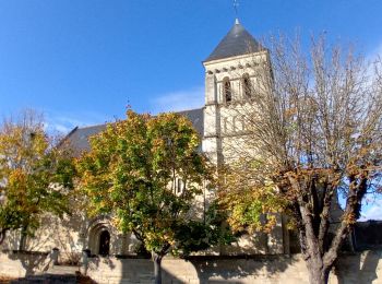 Randonnée Marche Les Ulmes - Les Ulmes 24102024 - Photo