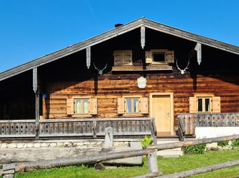 Percorso A piedi Oberaudorf - Wanderweg 662 - Unteres Sudelfeld - Wildalpjoch - Photo