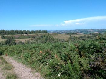 Excursión Bici de montaña Arvieu - arvieu est  - Photo