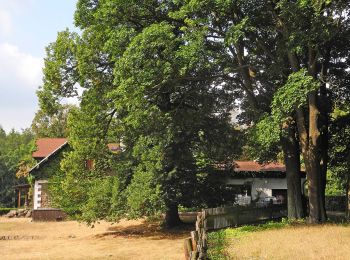 Percorso A piedi Dubí - [Č] Dubský dolní lázeňský okruh - Photo