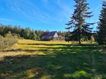 Excursión Senderismo Saint-Sauves-d'Auvergne - Charlannes-la_charbonnière-la_Stéle - Photo